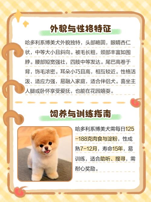 博狗网站正规性深度解析:用户必须了解的7个关键点